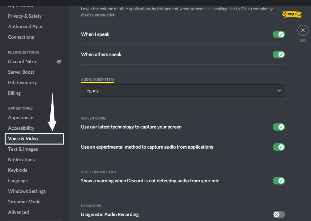 Audio Subsystem